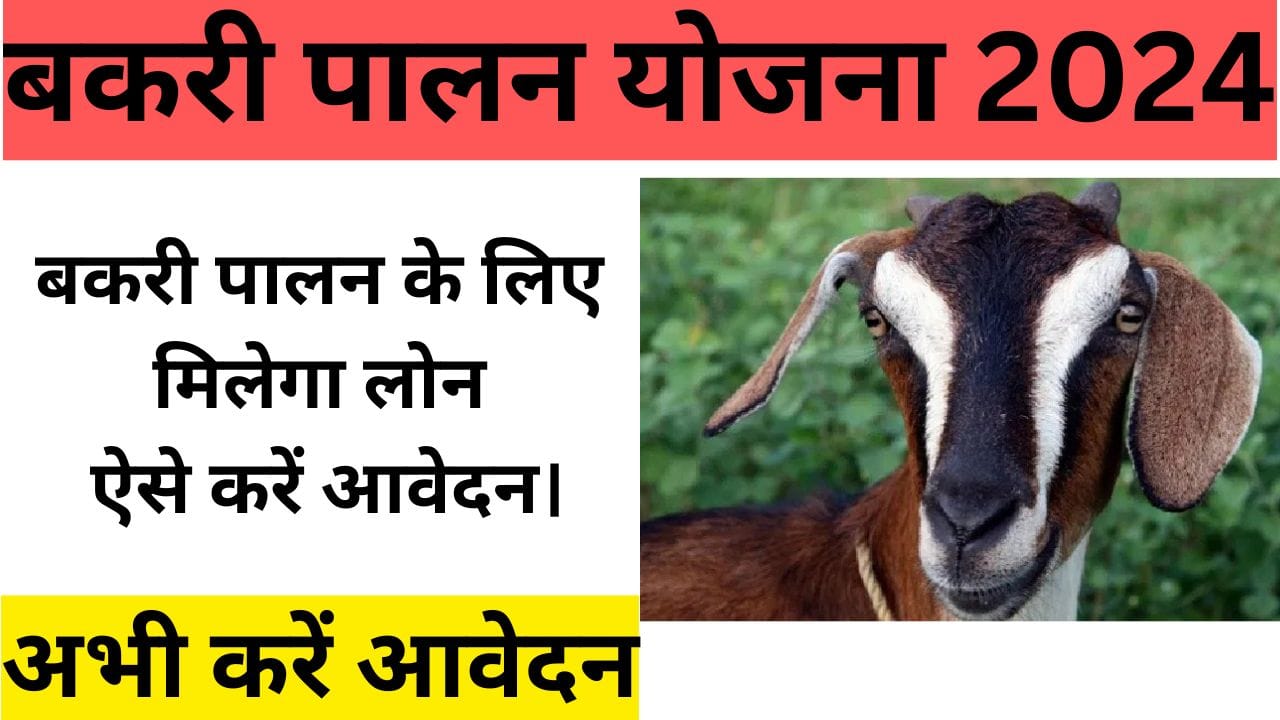 Bakri palan yojna 2024